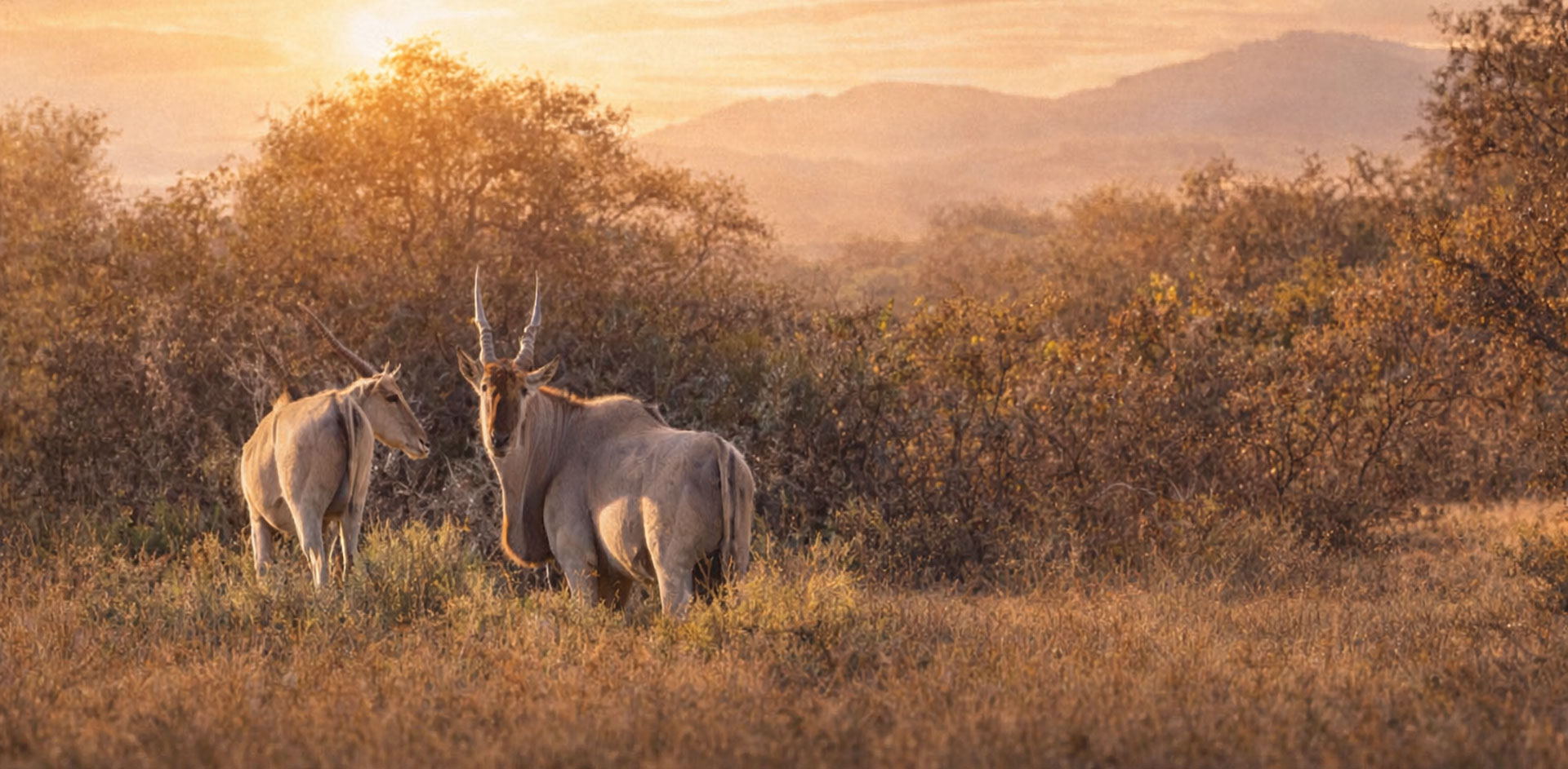 Hunting near Cape Town in South Africa